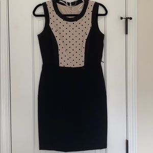 Sandra Darren Black and Tan Dress